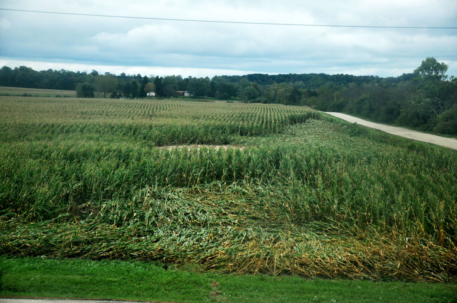 Tornado Damage